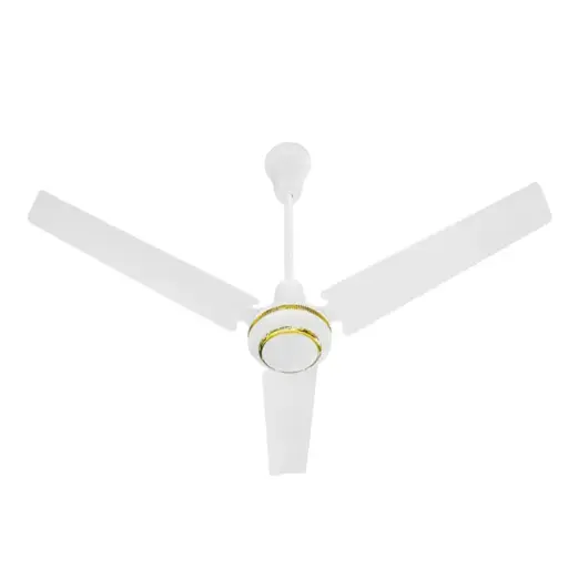 25W AC/DC Ceiling Fan